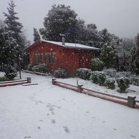 Puelche De Antuco Villa Luaran gambar